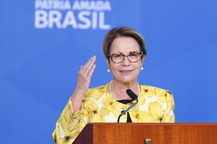 Fabio Rodrigues Pozzebom/Agência Brasil A ministra da Agricultura, Pecuária e Abastecimento, Tereza Cristina , durante lançamento do Plano Safra 2021/22 no Palácio do Planalto.